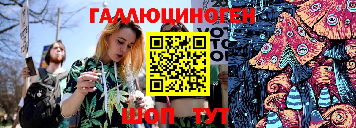 Галлюциногенные грибы Psilocybine cubensis  Вход с VPN  Батайск  что такое   Галлюциногенные грибы прущие грибы 